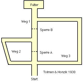 Tolman & Honzik